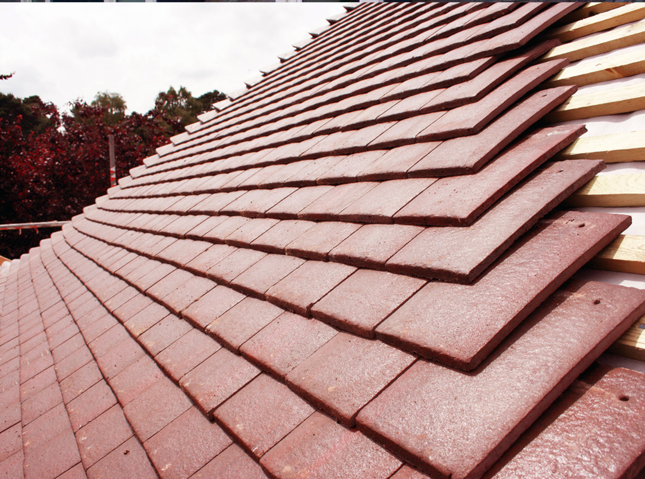 photo de toits en zinc